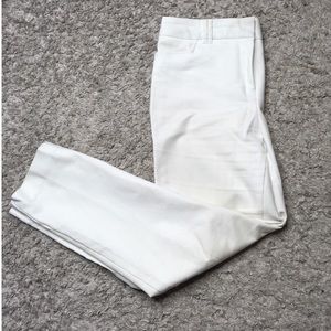 Charter Club cotton straight leg dress pants